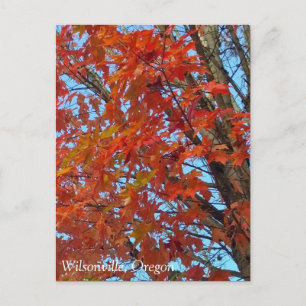 Rote Herbstblätter Postkarte