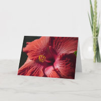 Rote Hibiskus-Karte