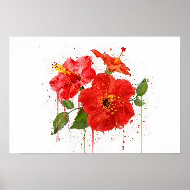 Rote Hibiskus Poster (Vorne)