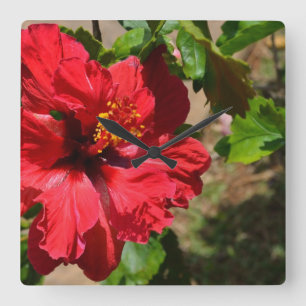 Rote Hibiskus-Wanduhr Quadratische Wanduhr