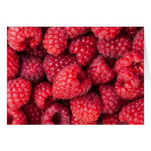 Rote Himbeeren, frisch