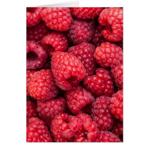 Rote Himbeeren, frisch