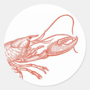 Rote Hummer-Aufkleber Runder Aufkleber