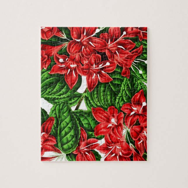 Rote Ingwer-Blume, Vintag (Vertikal)