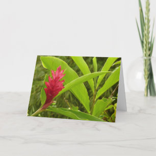 Rote Ingwerblüte (Alpinia) Tropisch Karte