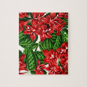 Rote Ingwerblüten, Vintage-Druck
