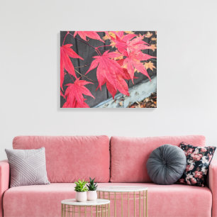 Rote japanische Ahornblätter Botanisch Leinwanddruck