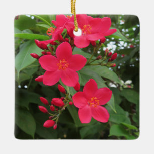Rote Jatropha-Blüten Keramikornament