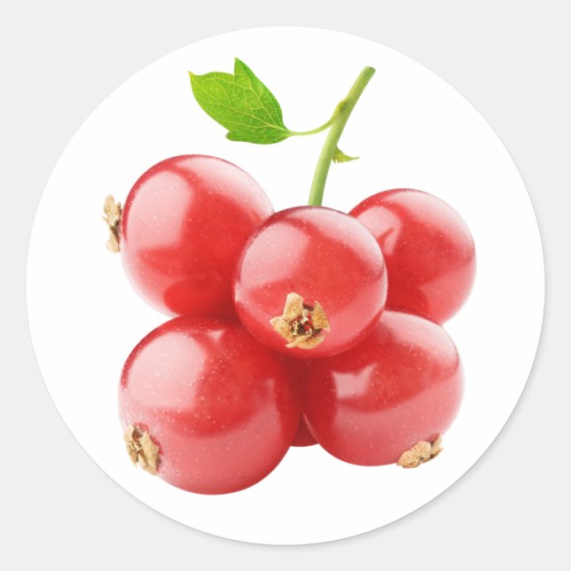 Rote Johannisbeere Runder Aufkleber (Vorderseite)
