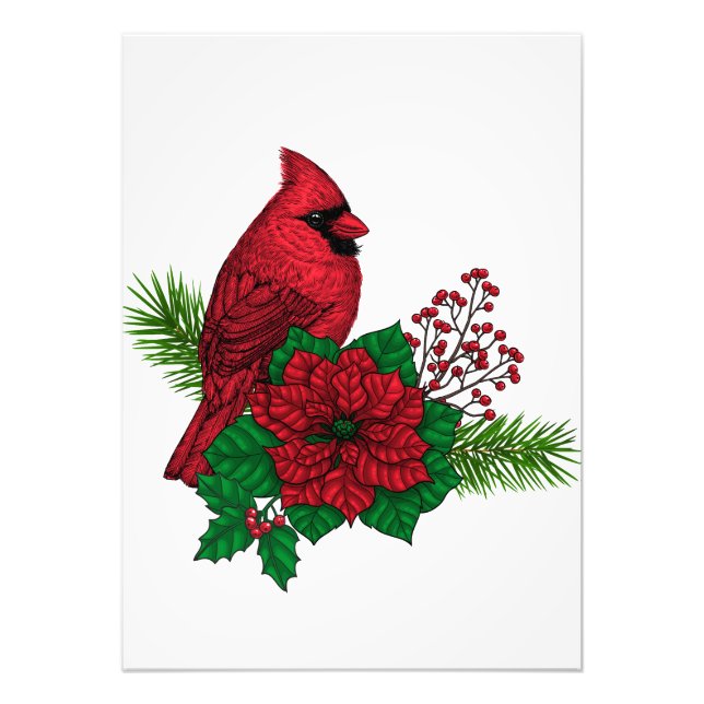 Rote Kardinäle zur Weihnachtsdekoration Fotodruck (Vorne)