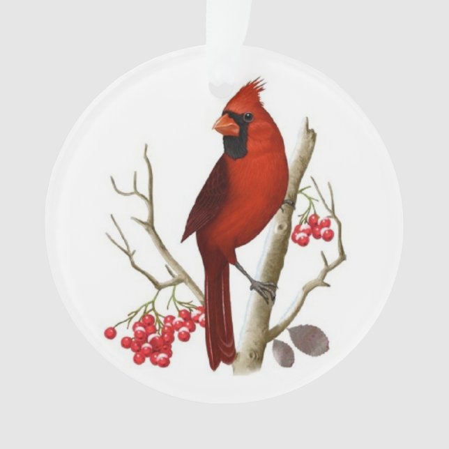 Rote Kardinals-Weihnachtsverzierung Ornament (Vorderseite)