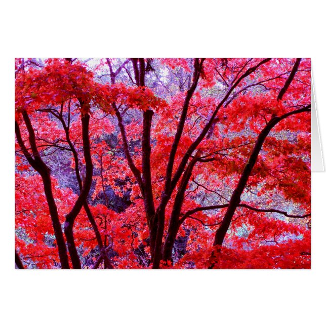 Rote Karte Herbst (Vorderseite (Horizontal))