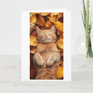 rote Katze genießt einen schläfrigen Moment Karte