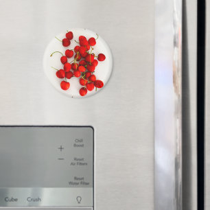 Rote Kirschen auf weißer Seite Magnet