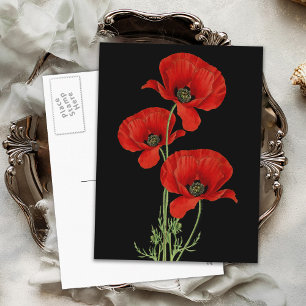 Rote Klatschmohnblumen Botanical Vintage Postkarte