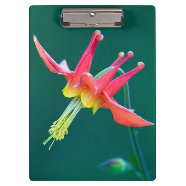 Rote Kolumne Klemmbrett (Vorderseite)