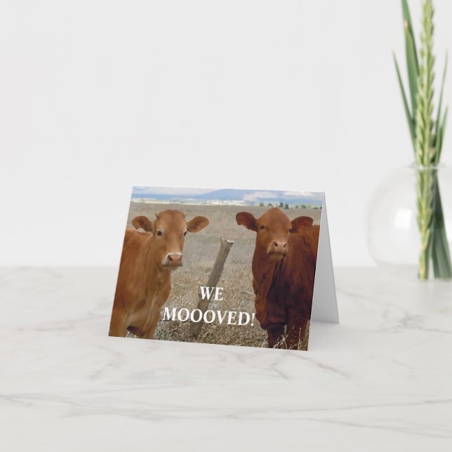 Rote Kühe - Änderung der Anschrift des Westerns Ankündigung (Vorderseite)