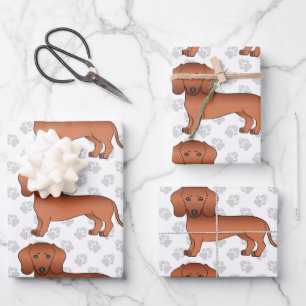 Rote Kurzhaar-Dachshund-Hund Süßer Hund Muster & P Geschenkpapier Set