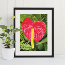 Rote Laceleaf Blume Floralfotografie