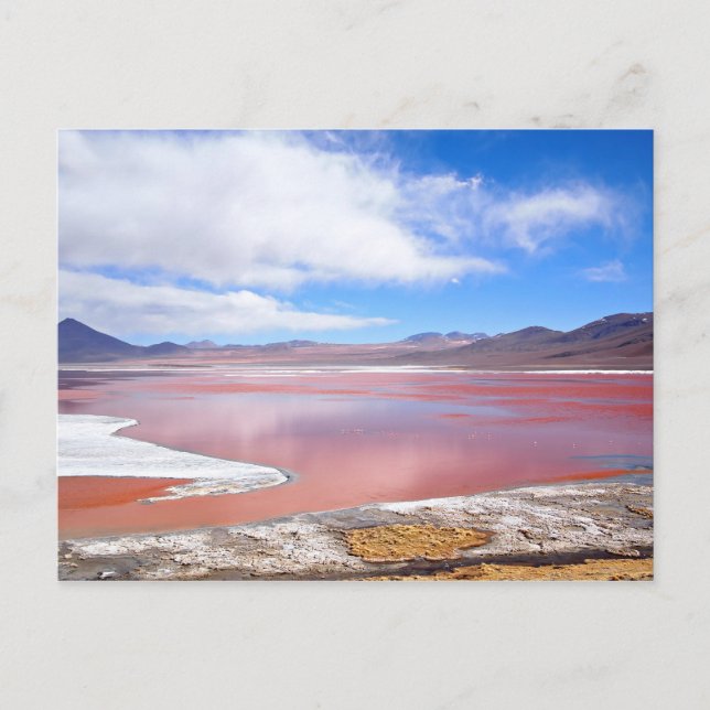 Rote Lagune, Laguna Colorada in Bolivien Postkarte (Vorderseite)
