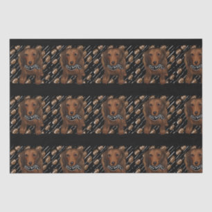 Rote Langhaar-Doxie Seidenpapier