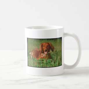 Rote langhaarige Dackel Kaffeetasse