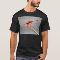 Rote Libelle 5