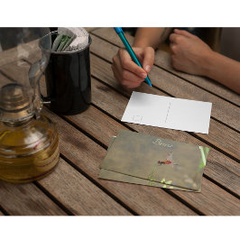 Rote Libelle auf einem Strohhalm Postkarte