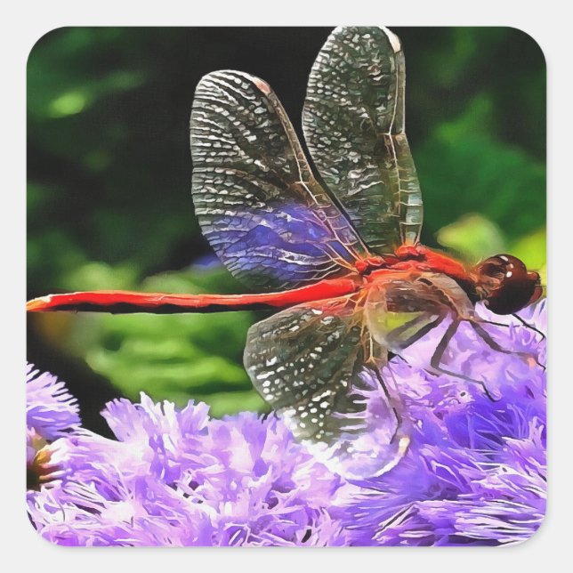 Rote Libelle auf Violet Purple Blumen Quadratischer Aufkleber (Vorderseite)