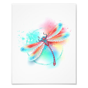 Rote Libelle im Aquarellhintergrund Fotodruck