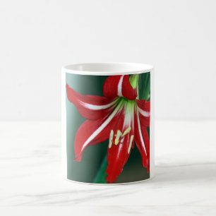 Rote Lilie Kaffeetasse