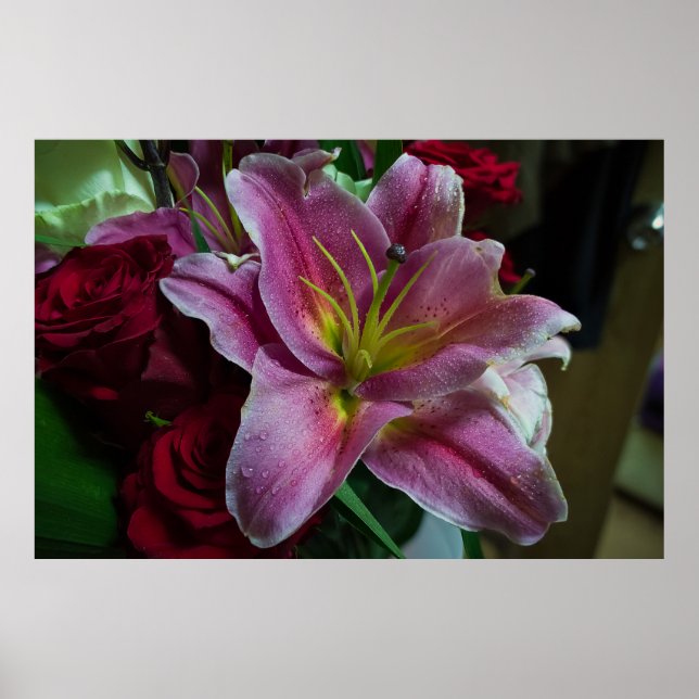 ROTE LILIENBLUME POSTER (Vorne)