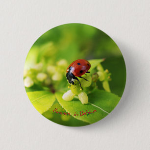 Rote Marienkäfer Sommer Button