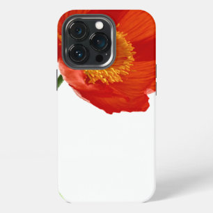 Rote Mohn-Einfachheit iPhone Hülle