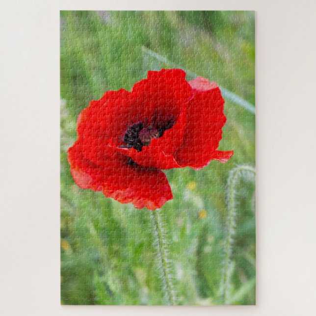 Rote Mohnblume-Blume (Vertikal)