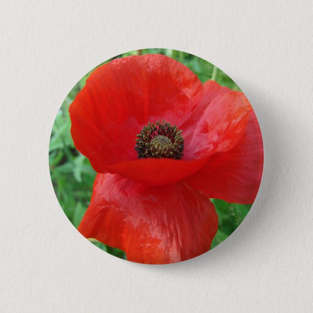Rote Mohnblume Blume Button (Vorderseite)