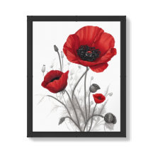 Rote Mohnblume Blume