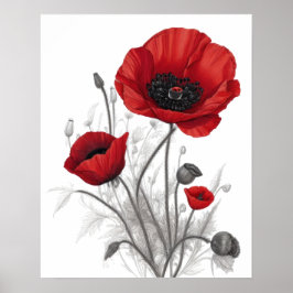 Rote Mohnblume Blume Poster