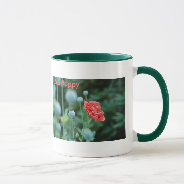Rote Mohnblume, in Flandern stellt Tasse auf (Rechts)
