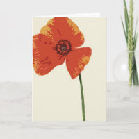 Rote Mohnblume