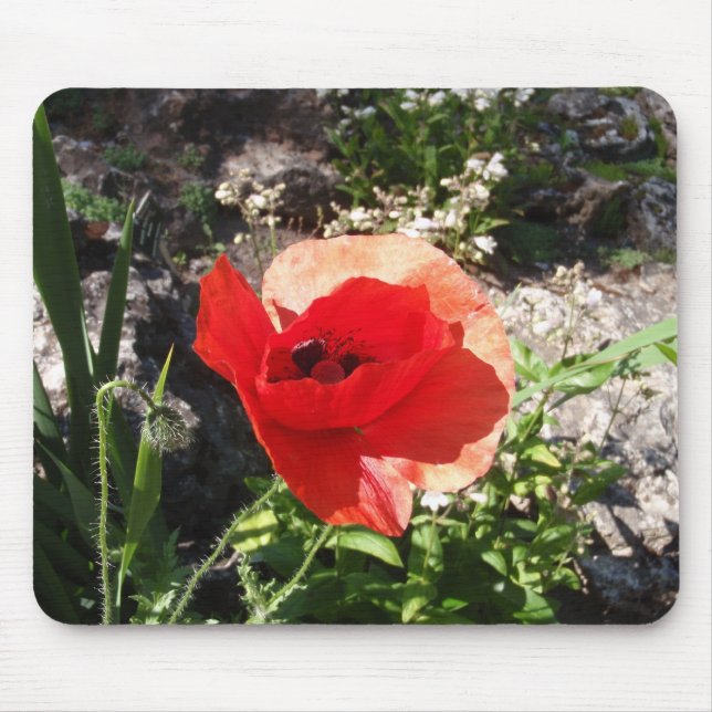 Rote Mohnblume Mousepad (Vorne)
