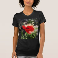 Rote Mohnblume