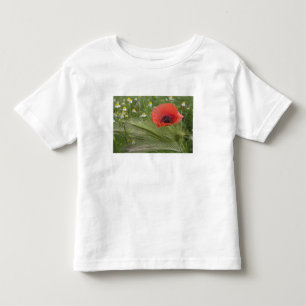 Rote Mohnblume, Toskana, Italien Kleinkind T-shirt