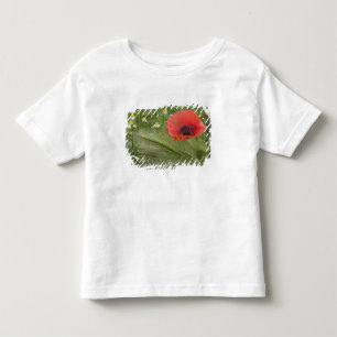 Rote Mohnblume, Toskana, Italien Kleinkind T-shirt