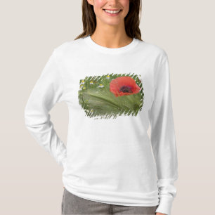 Rote Mohnblume, Toskana, Italien T-Shirt