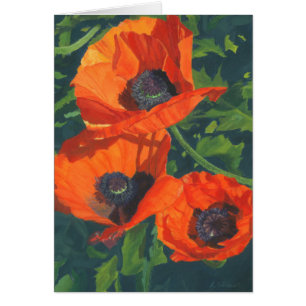 Rote Mohnblumen