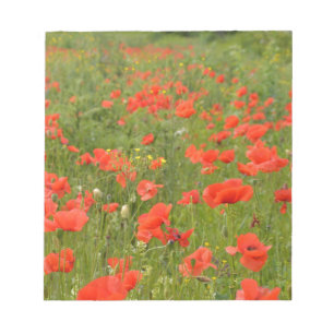 Rote Mohnblumen auf dem Feld Notizblock