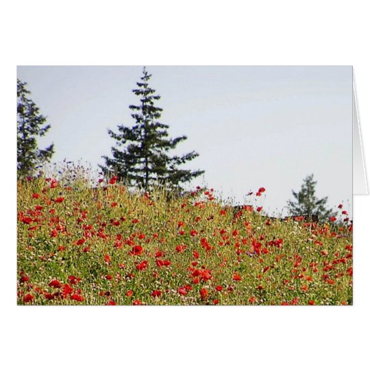 Rote Mohnblumen auf einer Abhangkarte Karte