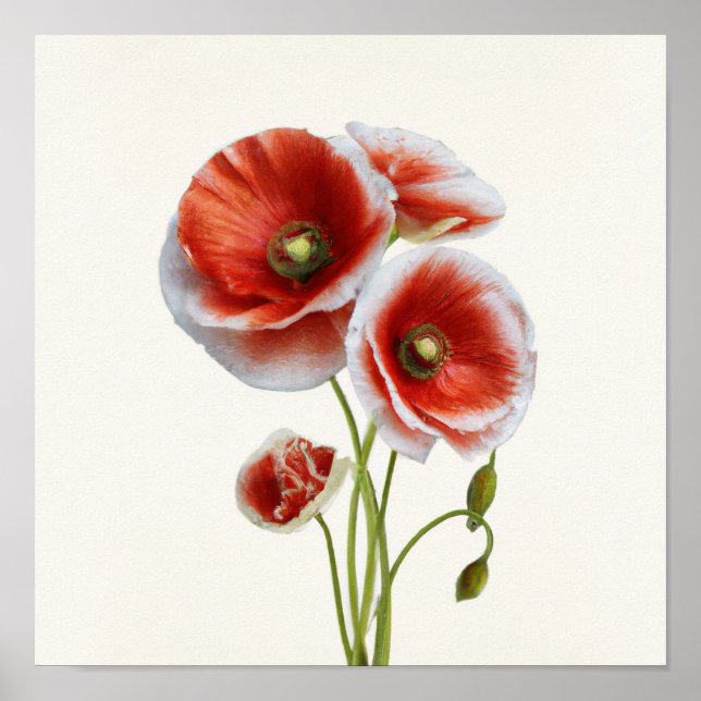 Rote Mohnblumen Blume Art Print Poster (Vorne)