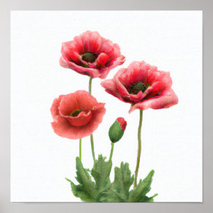 Rote Mohnblumen Blume Art Print Poster
